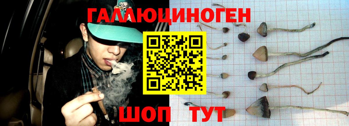 Псилоцибиновые грибы Magic Shrooms Богородицк