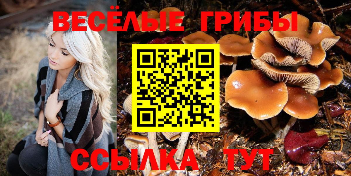 Псилоцибиновые грибы Psilocybine cubensis  Псилоцибиновые грибы GOLDEN TEACHER  Богородицк  Вход с VPN 